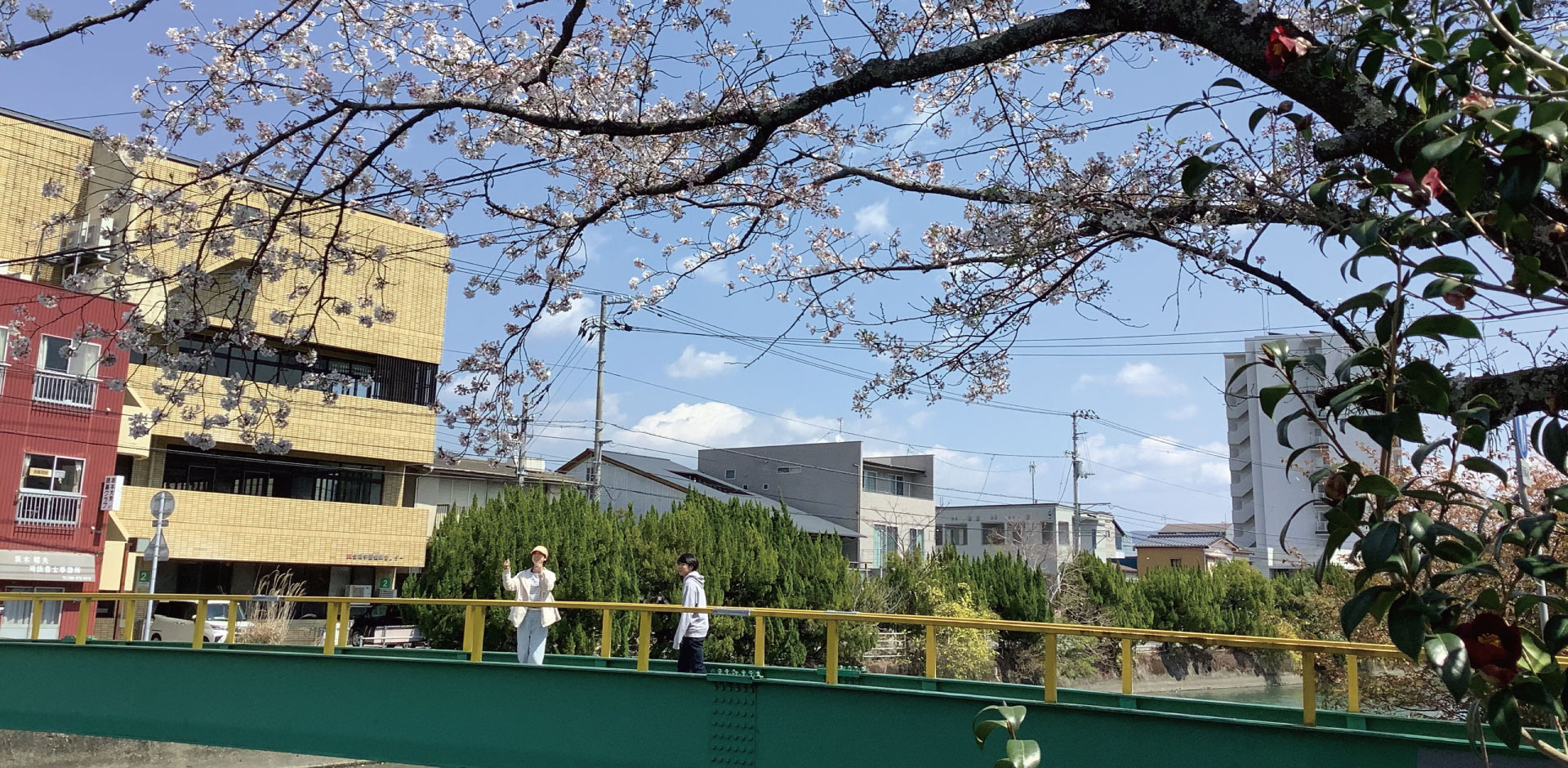 三彩公式ショップ
